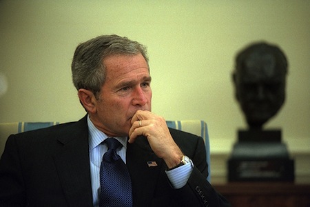bush